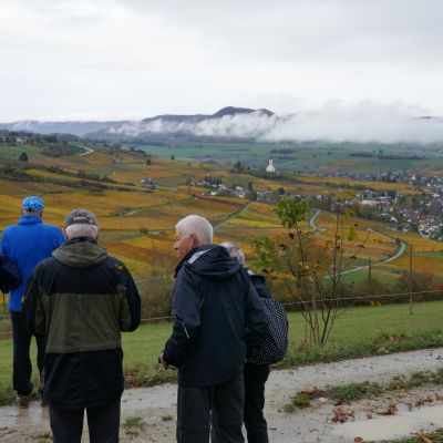 014 Ein herrlicher Ausblick